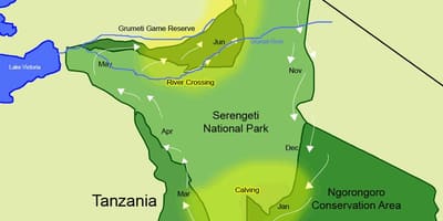 Peta dari tanzania migrasi 